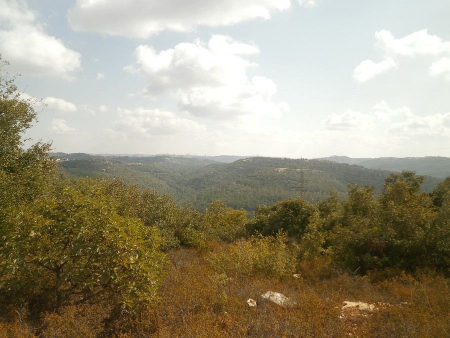 PA140094