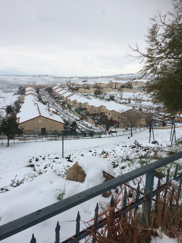 febrero2015 561